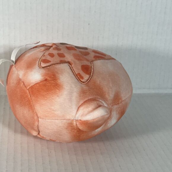 Squishmallows 5" Livvy the Coral Starfish Plush Toy Orange Mini - Picture 6 of 10